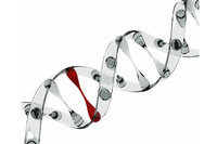 最近注目されている遺伝子検査(DNA検査)ってどうなの？