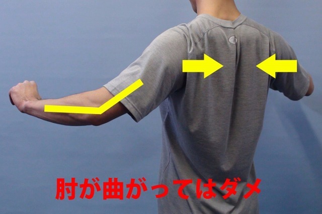 肘を曲げながら肩甲骨を寄せた状態。背中の筋肉が収縮して肩甲骨が寄っている。