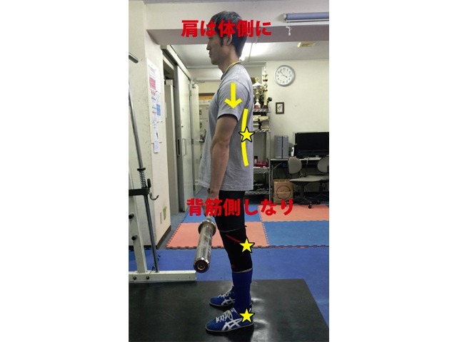 A2タイプの直立姿勢 両肩は体側に位置し、背筋側をややしならせた状態にする