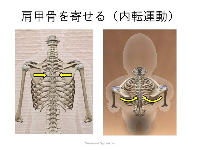 記事画像2