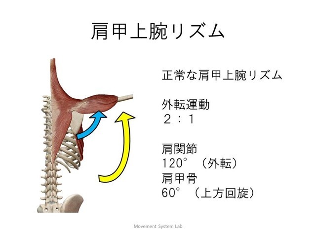 記事画像4