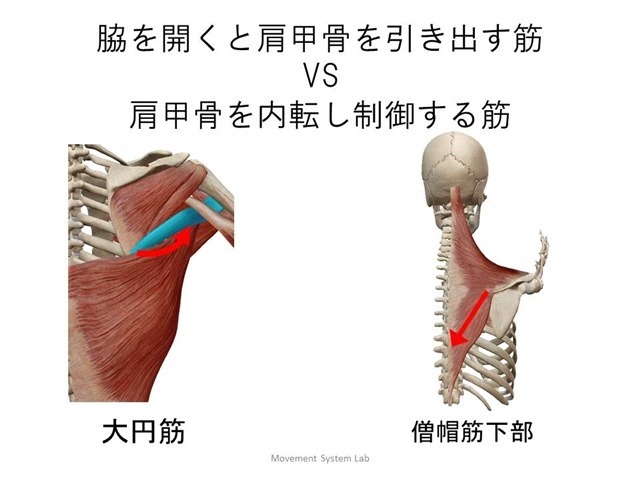 記事画像7