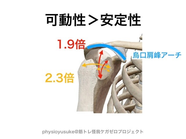 記事画像2
