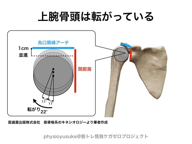 記事画像3