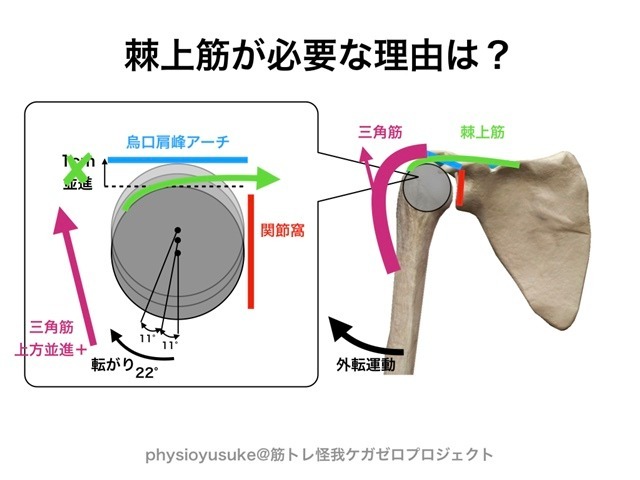 記事画像4