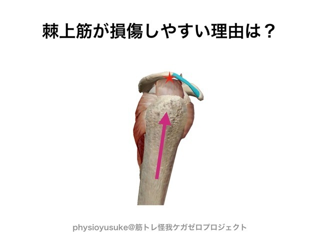 記事画像5