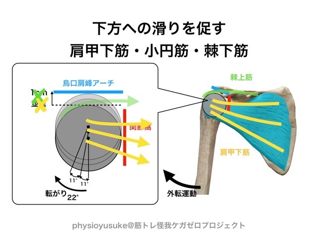 記事画像6