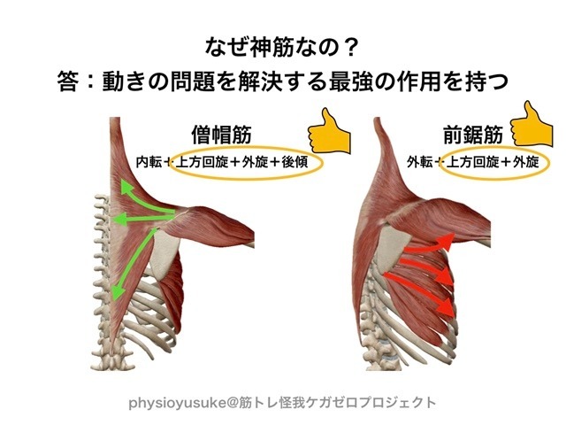 記事画像2
