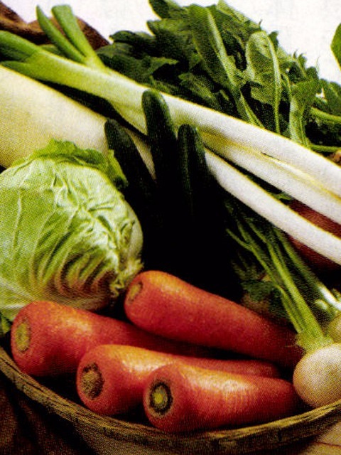 野菜から摂ることができるファイトケミカルや食物繊維は体にとってとても重要な栄養素だ