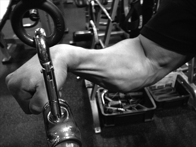 前腕の筋肉で重量を支えて三頭筋にスト レッチをかけます