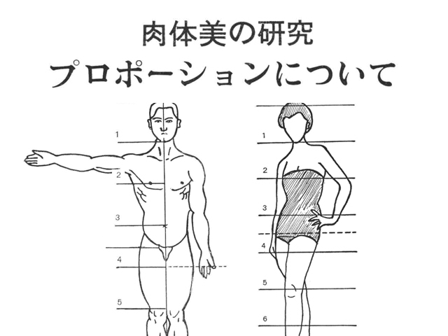 肉体美の研究 プロポーションについて