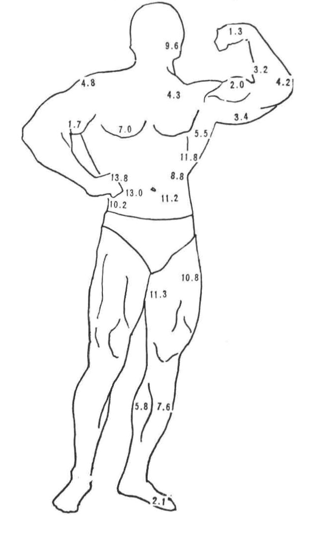体の各部分の皮下脂肪厚(身長164cm、体重55kgの人の場合)