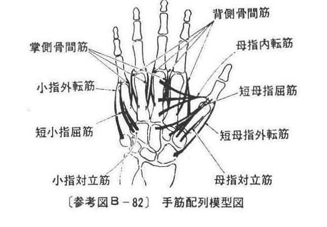 (参考図B-82）手筋配列模型図