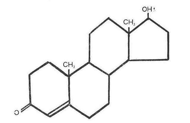 [図4]テストステロン(男性ホルモン、こう丸分泌)