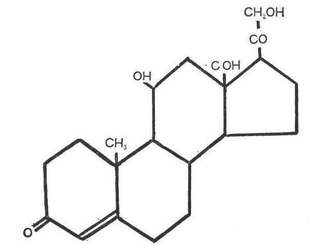 [図6]アルドステロン(副腎皮質ホルモン)