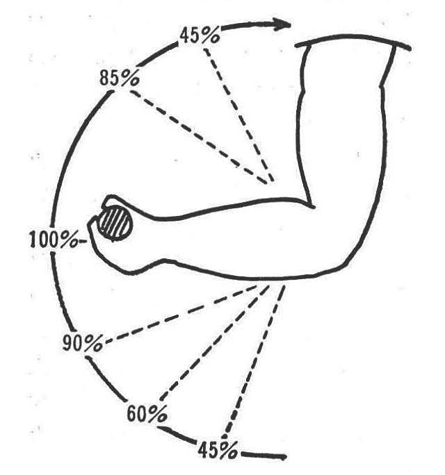 図：アーム・カールの筋肉に加わる抵抗