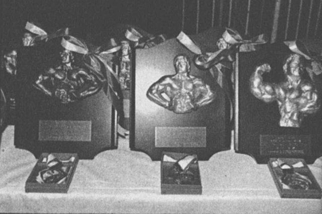 各クラスの入賞者に贈られた盾とメダル。右から優勝、２位、３位。