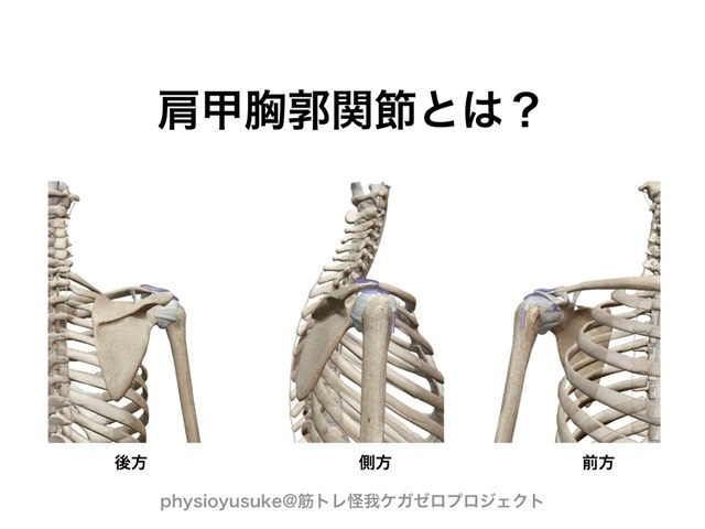 記事画像2