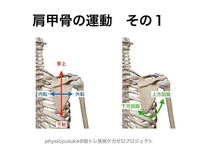 記事画像3
