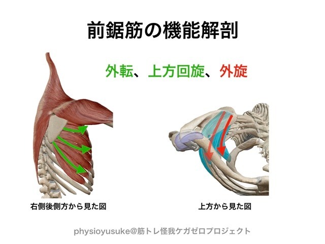 記事画像6