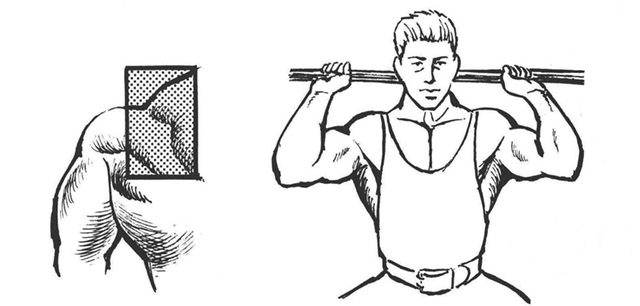 手幅を肩幅位に握って行うと、三角筋内側及び僧帽筋に刺激が移行する。