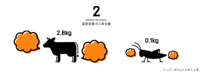 環境負荷の低減：ホエイの原料である牛と比べ、クリケットはタンパク質1kgを生産するのに排出する温室効果ガスは28分の1。