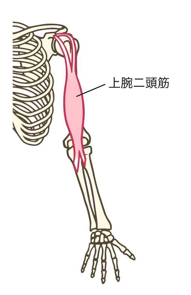 記事画像5