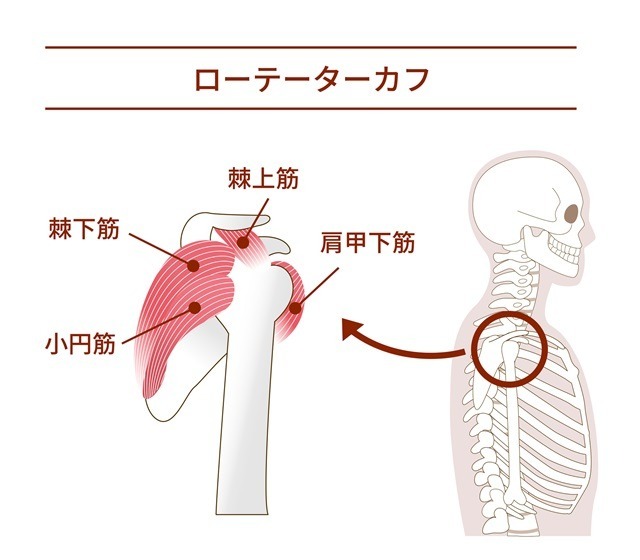 記事画像6